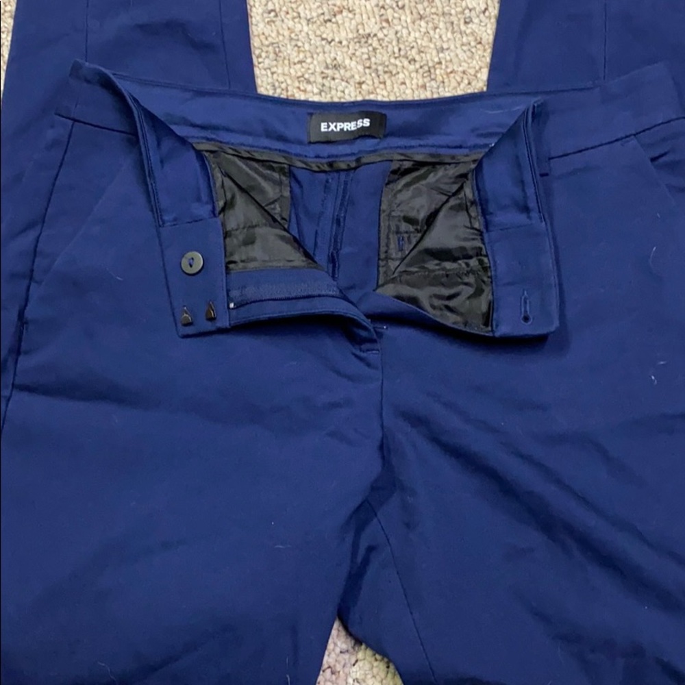 Express Columnist Ankle Pants